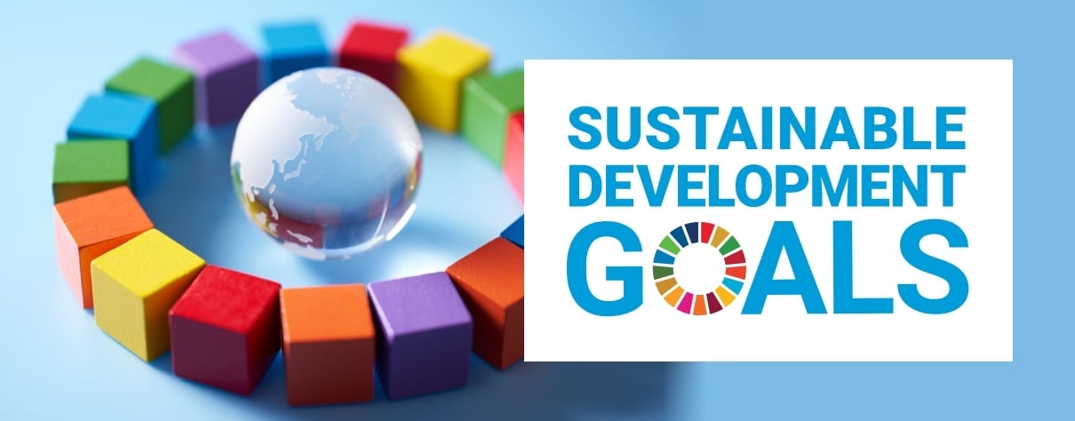 Sustainable Development Goals